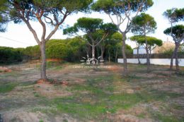 Grundstück in einem sehr gepflegtem Wohngebiet nahe Vale do Lobo Grundstück in einem sehr gepflegtem Wohngebiet nahe Vale do Lobo