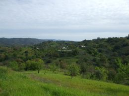 Attractive plot with big ruin and nice country views Attractive plot with big ruin and nice country views