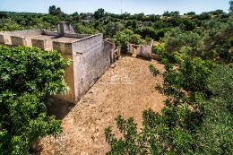 Old house to renovate with large idyllic orchard on a very good location near Pinheiro