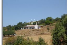 3 properties on a large plot with plantation of Cork and Pine trees 3 properties on a large plot with plantation of Cork and Pine trees