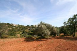 Building land for one or two large villas near Almancil Building land for one or two large villas near Almancil