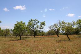 Plot of land with sea view to built a villa in Boliquieme Plot of land with sea view to built a villa in Boliquieme