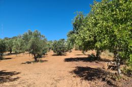 Plot with approved project to build a villa on a nice plot near Loule