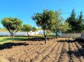 Refurbished 4-bed quinta on a large plot near Tavira