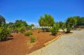 Charming 2-bedroom villa nestled in a peaceful countryside setting
