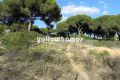 Plot for construction in pine forest 500 meters from the beach