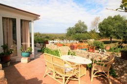 Attractive Portuguese villa with guest house and...