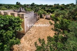 Old house to renovate close to the Ria Formosa