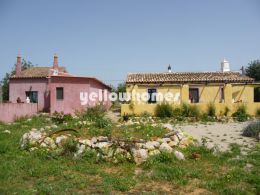 Renovada Quinta V2 com anexo sito num grande lote de terreno