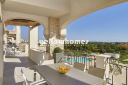 Spacious Penthouse apartment with roof terrace and...