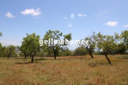 Development and investment opportunity in Boliqueime