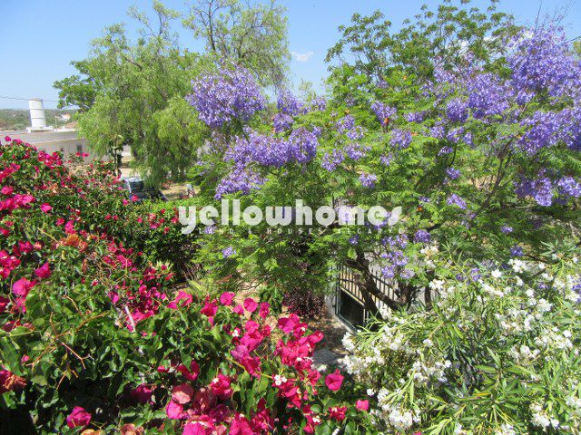 Schöne 4SZ Villa in Bestlage mit kleinem Garten in Tavira | Algarve