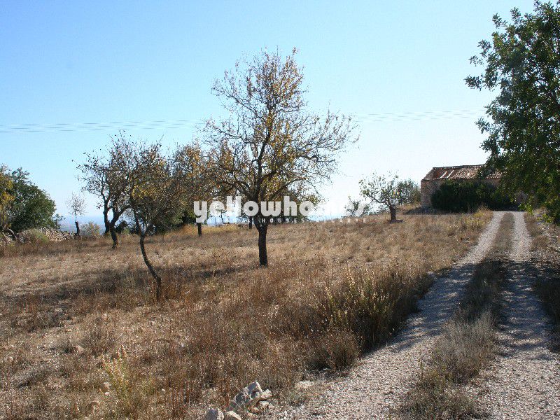 Terreno urbano perto de Boliqueime