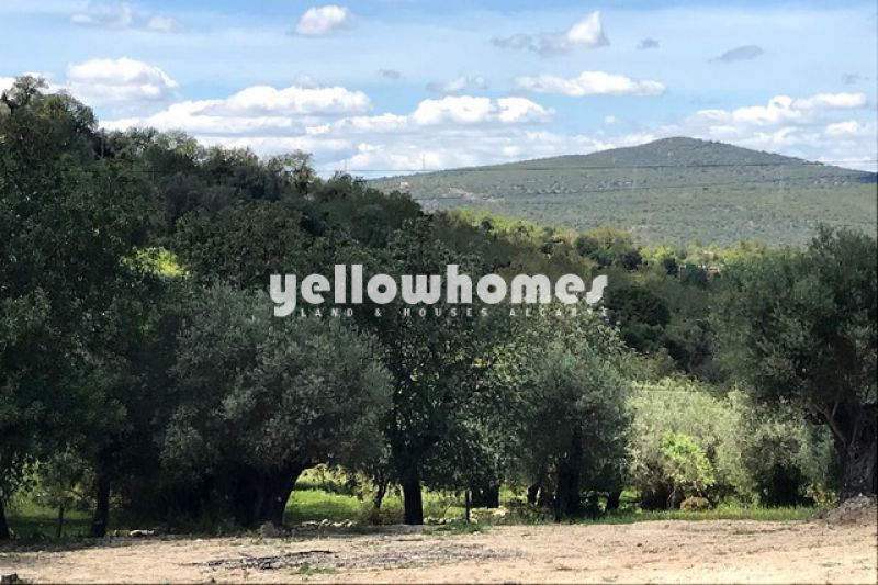 Good size villa plot with approved project just a short drive from Loule and Boliqueime