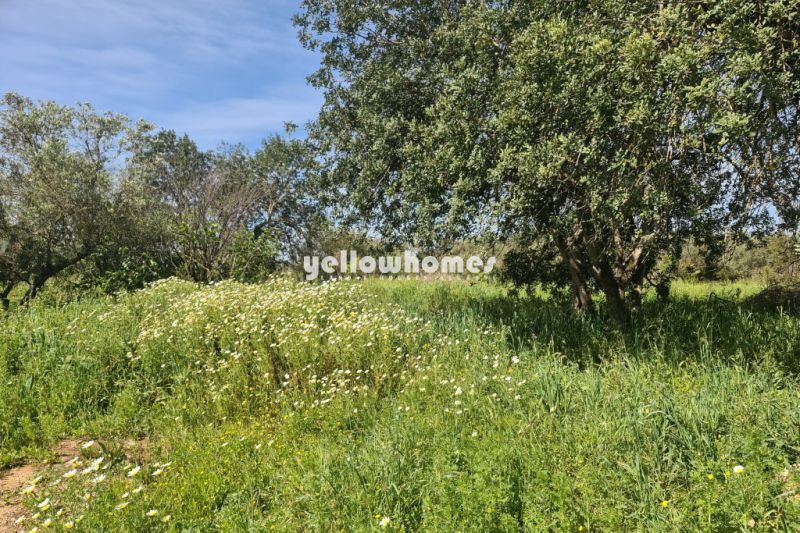 Plot of land with old house, perfect for restoration or development near Loule