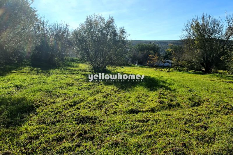 Good size building plot for a large construction north of Loule 
