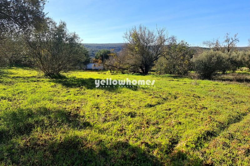 Good size building plot for a large construction north of Loule 