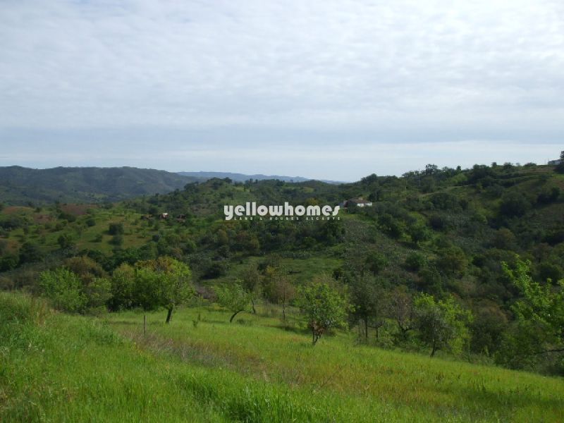 Terreno com grande ruína e vistas agradáveis 