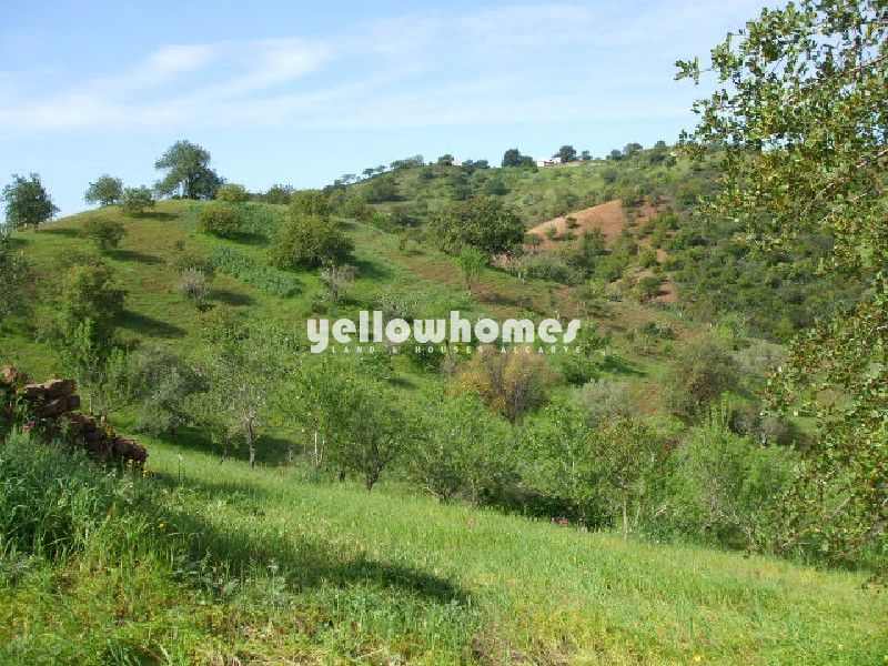 Terreno com grande ruína e vistas agradáveis 