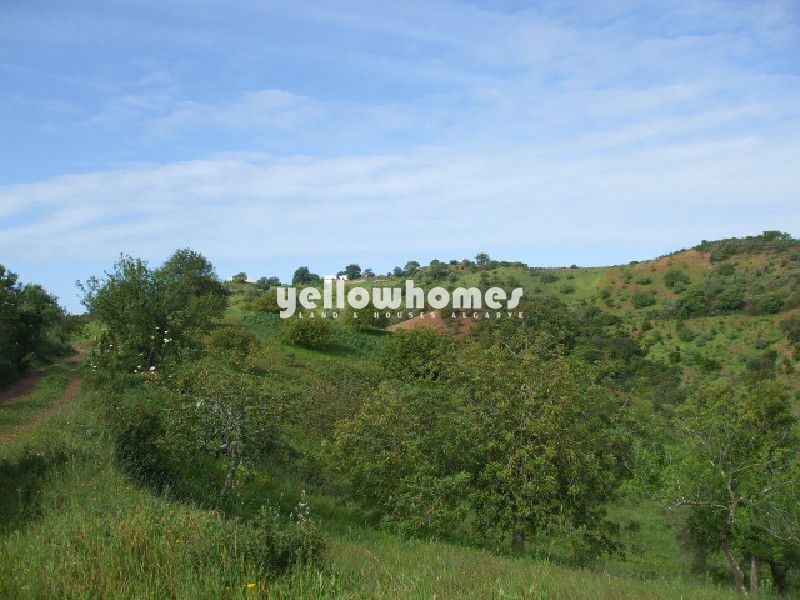 Terreno com grande ruína e vistas agradáveis 