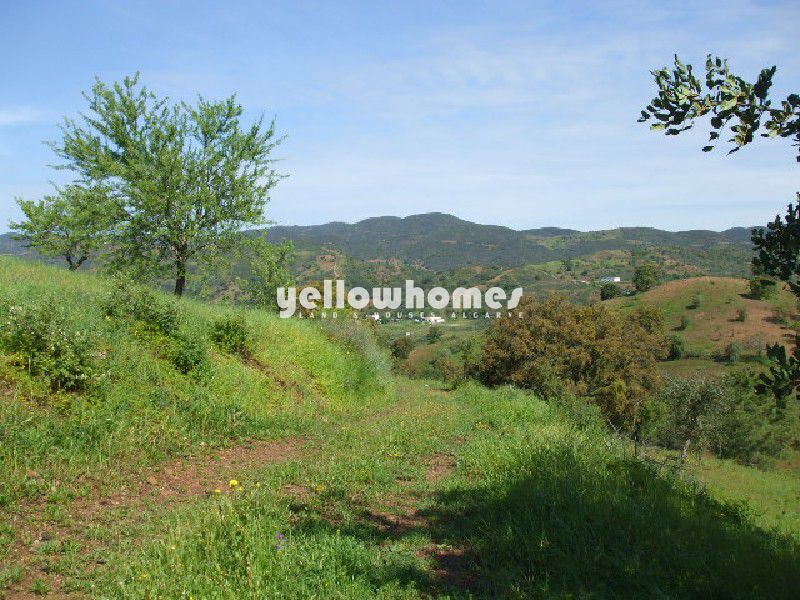 Terreno com grande ruína e vista para o campo