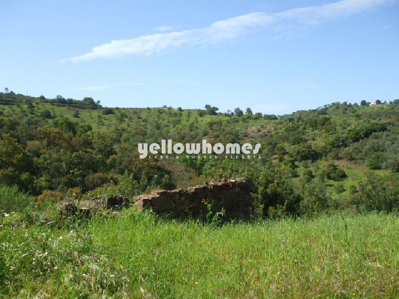 Terreno com grande ruína e vista para o campo