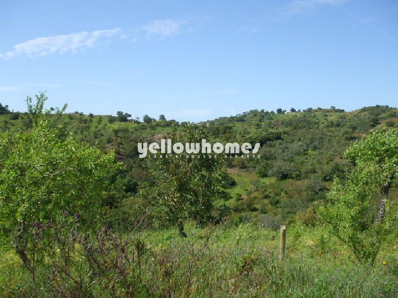 Terreno com grande ruína e vista para o campo