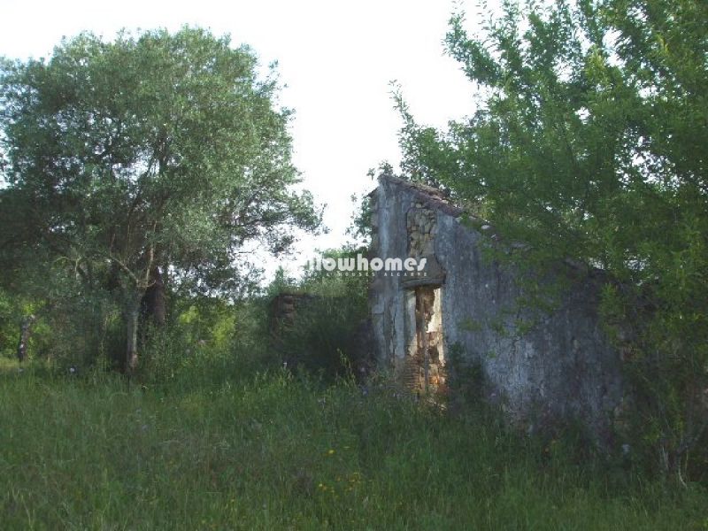 Terreno com grande ruína e bonita vista para o campo