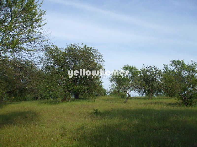 Terreno com grande ruína e bonita vista para o campo