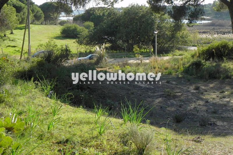 Plot for construction in pine forest 500 meters from the beach
