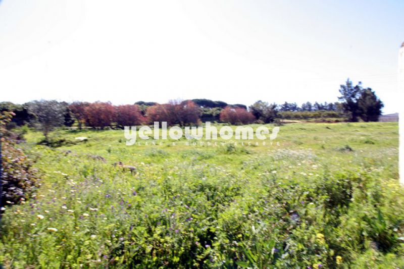 Terreno para construção de moradia perto de Pechão
