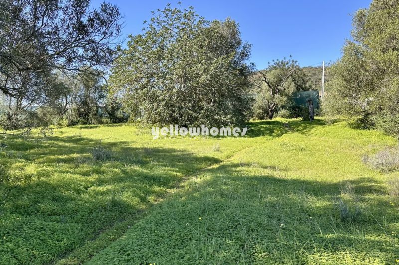 Building plot for up to 3 modern homes or one large villa south of Loule