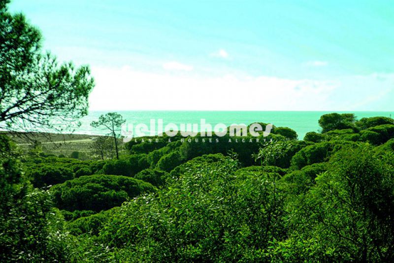 Building plot within walking distance to the beach